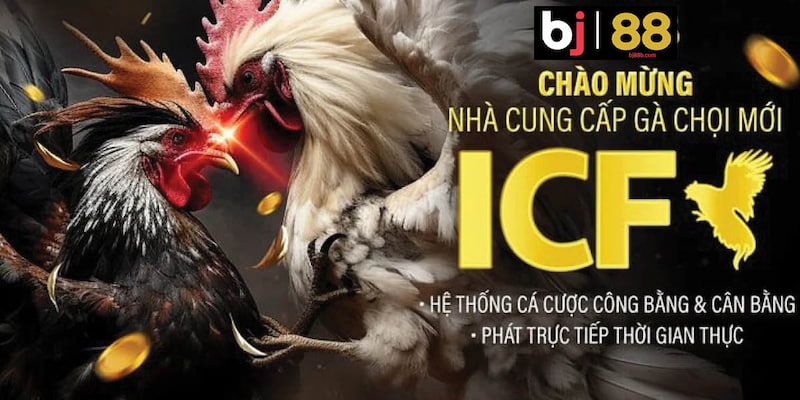 Ưu đãi của nhà cái BJ88